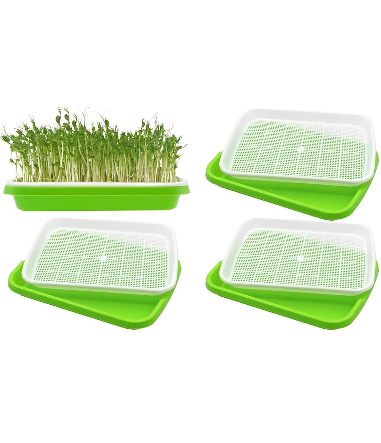 Seed Sprouter Tray 5 Pack, BPA Free Nursery Tray Seed Germination Tray Healthy Wheatgrass Seeds Grower & Storage Trays for Garden Home Office,Polypropylene (Green) (3)-image-46