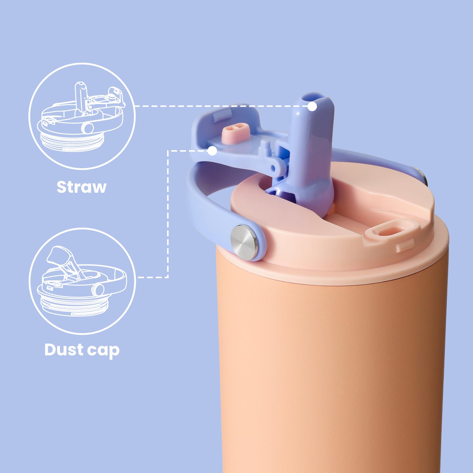BOTTLE BOTTLE Insulated Water Bottle with Straw and Handle Stainless Steel Water Bottles for Car Sports Home Office and School 750ml Leak Proof Bottles(Peach) - Image 4