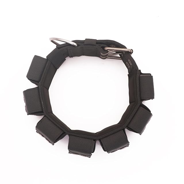 Foto 4 de 8 de Walktime Collar táctico con peso para perro, pesas para entrenamiento y ejercicio, perros pequeños