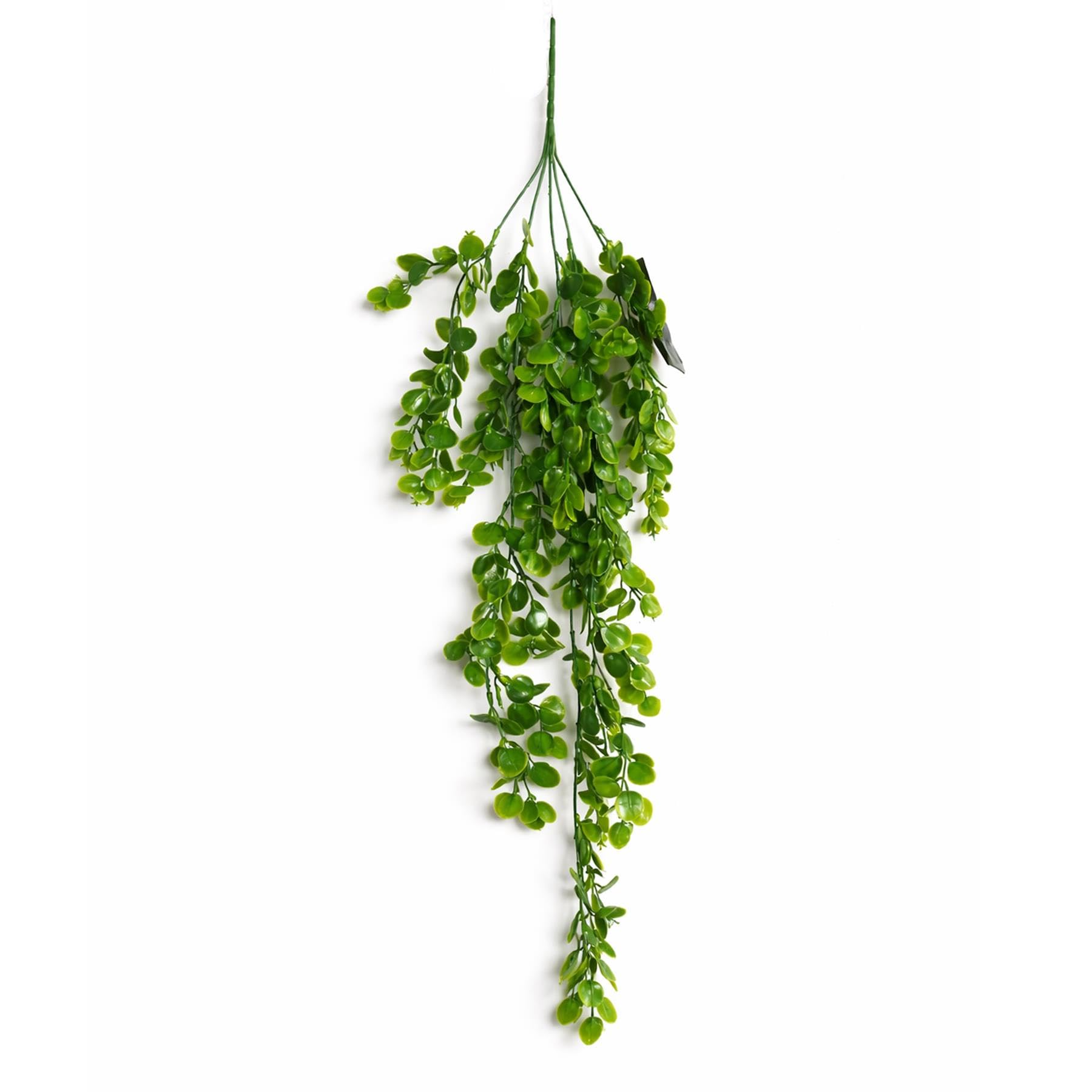 75Cm Artificial Trailing Round Leaf Hanging Foliage PlantClassic Gloss Green