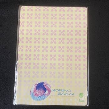 Amazon.co.jp: 昭和 レトロ 酒井法子 のりピー 下敷き 2枚