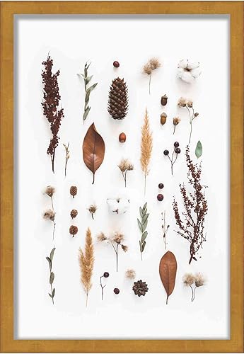 Miniatura 4 de Marco dorado de 12 x 16 pulgadas, marco de caja de sombras, tamaño interior de 12 x 16 x 1.5 pulgadas de profundidad, marco dorado está hecho para