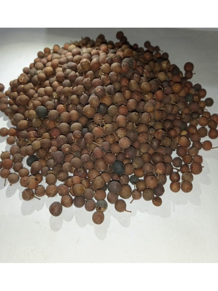 Jaipur MASALE Vaividang Seeds | Baividang Seed | False Black Pepper, Baibadang, Vidanga, Embelia Ribes | Vayuvilamgam Seeds, Vivadang Black (100gm) 2
