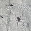Spider Grey