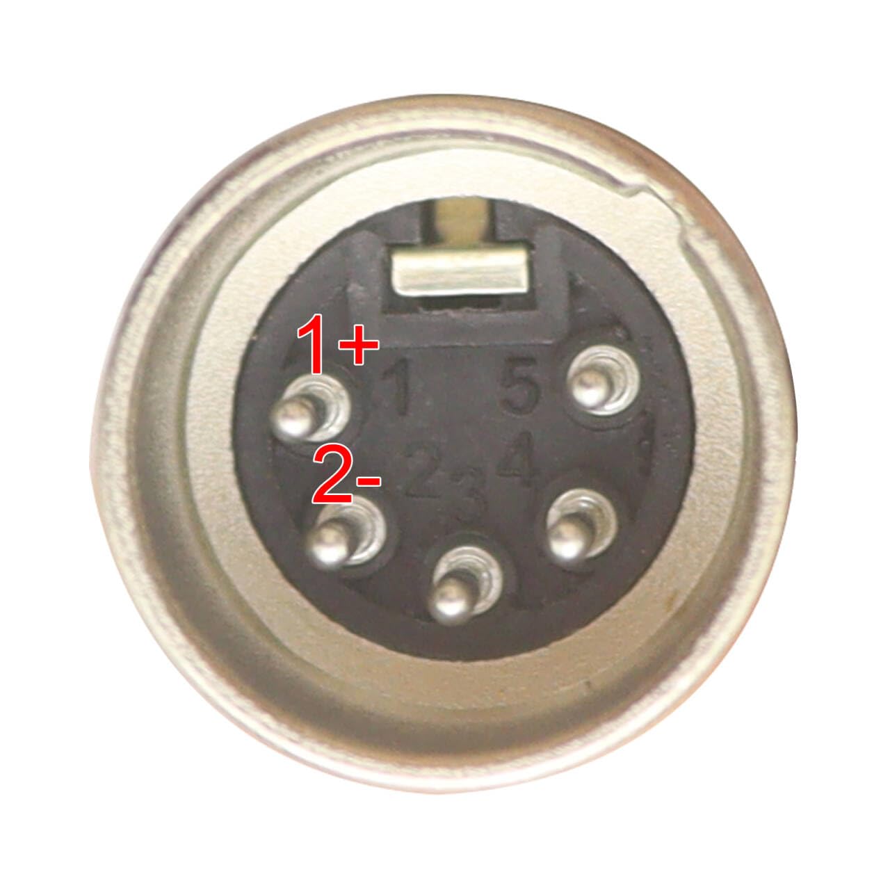 Chargeur Pedelec (42 V 2 A) pour batteries XLR 5 broches 2 A 84 W