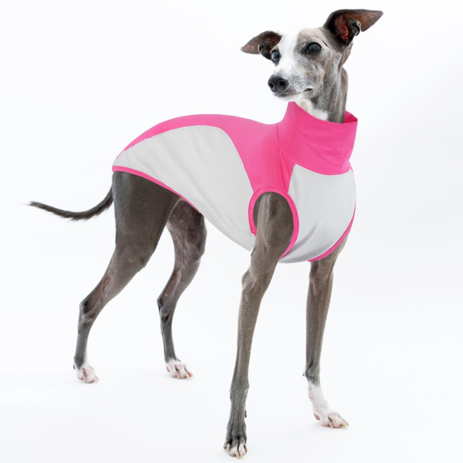 Italian Greyhound Clothes, Breathable Spring/Summer Outfit Sporty Pullover Whippet Pajamas Two-Legged Turtleneck Dog Shirt Comfortable(Pink, XS) — image 1