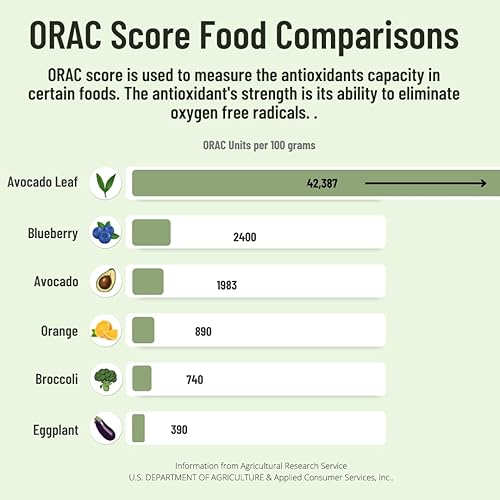 Miniatura 5 de Avocado Leaf Tea Té negro - Té de hierbas ligeramente cafeinado y saludable  Apoyo inmunológico y refuerzo  Preparación fría o té caliente - 15