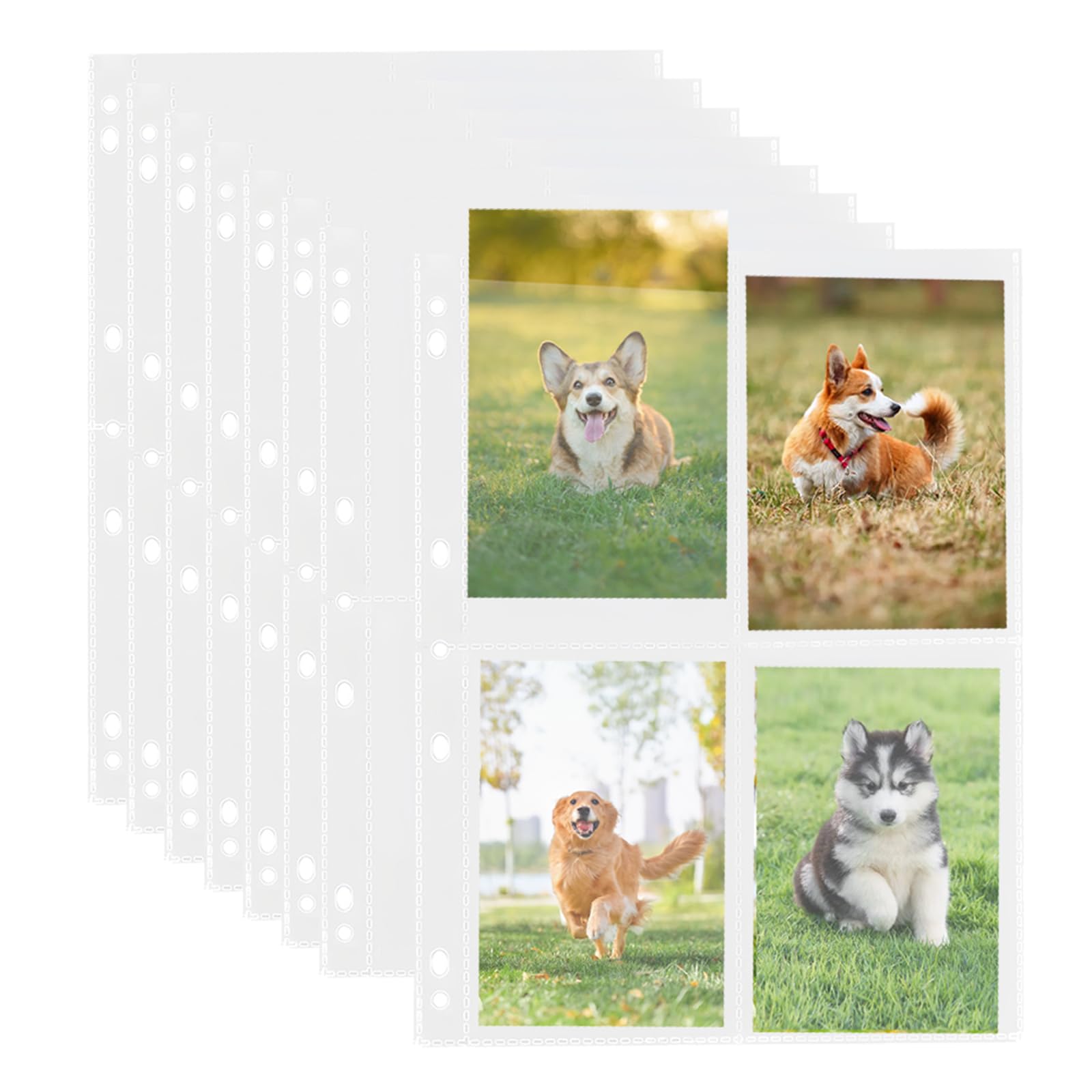 LOOKITUP A4 Photo Sleeves – 100 Clear Collectible Sleeves For Postcards & Photos, 4 Pockets Each