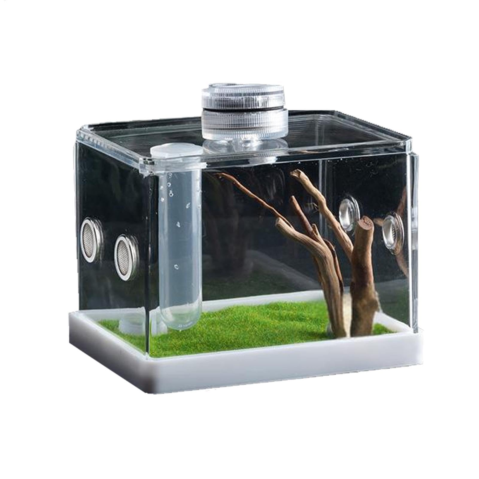 Cage à araignée transparente pour décorer votre salon avec un terrarium
