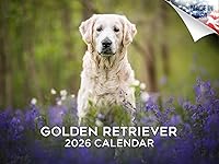 Vista 170 de Razas de Perros 2017