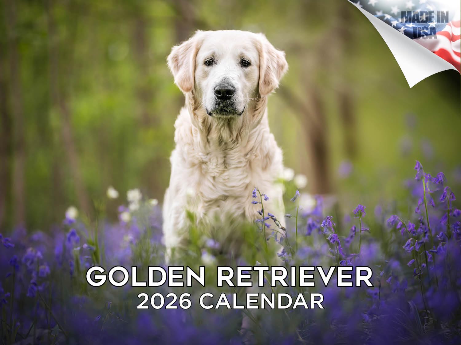 Kalendarz Golden Retriever 2024 2025 - miesięczny kalendarz ścienny rasy psów, 30 x 45 cm, otwarty, gruby papier bez przebarwień, prezent - akademicki planer nauczyciela, kalendarz, organizowanie i
