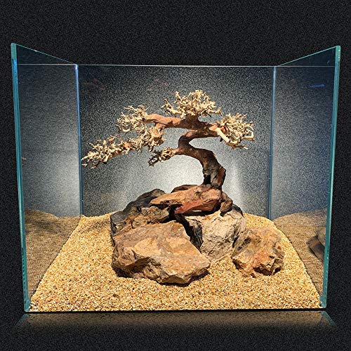 Amtra Legno Oriental Wind 5 MD - Image 3