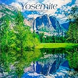 Yosemite | 2026 12 x 24 Inch (Hanging) Monthly Square Wall Calendar | Plastic-Free | BrownTrout | USA United States of America National Park West Scenic Nature