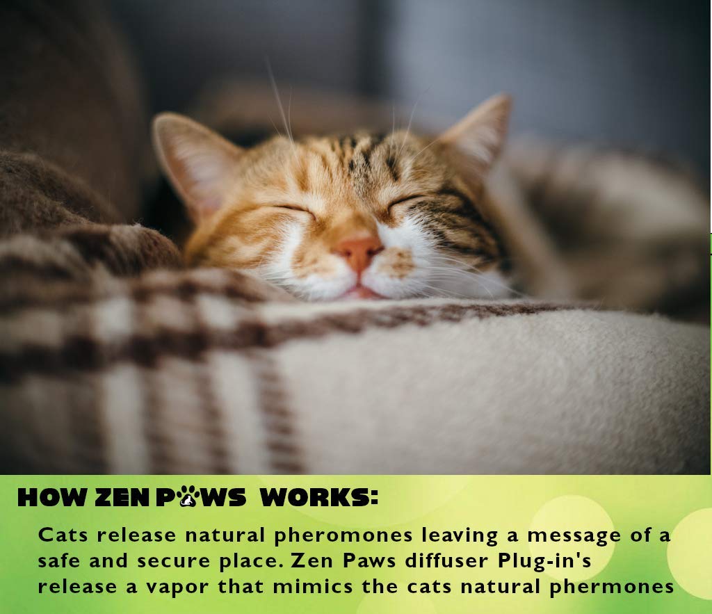 Zenpaws Upgraded No Scent - Diffuser Cat Relaxant Refill - Compatibility : Refills fit and are Compatible with All Major Brand diffusers. Feliway, Comfort Zone, ThunderEase, Relaxivet - image 4