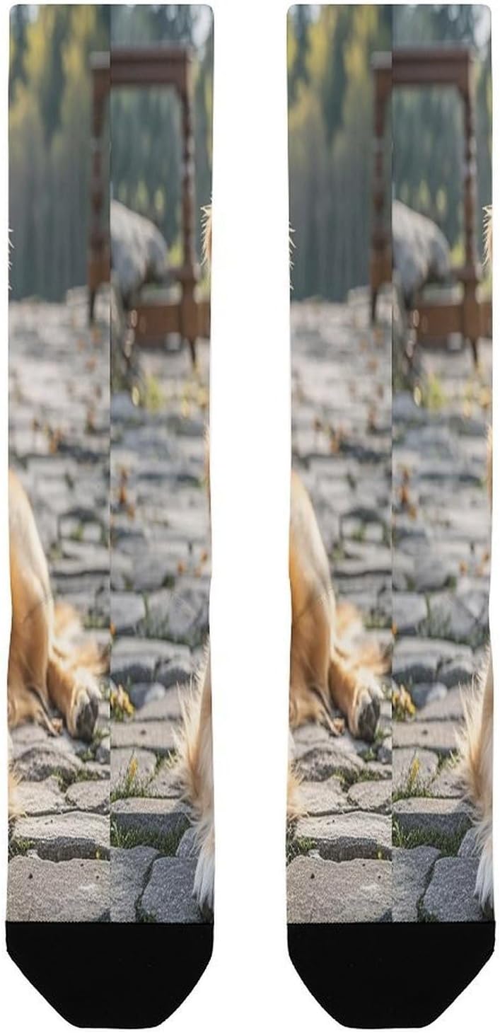 Golden Retriever Dog Crew Socks Calf Socks Athletic Crew Sock