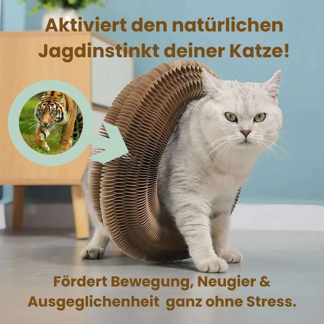 Flexiplay – 2in1 Kratz- und Spielring, Kratzkokon für Katzen mit Ball, Katzenwirbel Katzenliebling, Flexibles Katzenspielzeug für Den Innen und Außenbereich, Lindert Katzenstress(A,3 Stück)