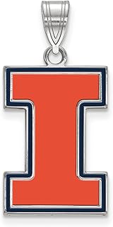 Illinois Large (3/4 Inch) Enamel Pendant (Sterling Silver)