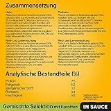 Pedigree Vital Protection Hochwertiges Hundefutter mit Huhn, Rind, Geflügel und Lamm