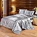 Battilo Silk Like Satin Duvet Cover Set Solid Color Silky Microfiber Bedding Sets King Size Smooth Gorgeous Comforter Cover with 2 Envelope Pillow Shams
