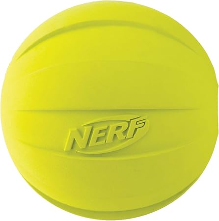 nerf squeaker ball