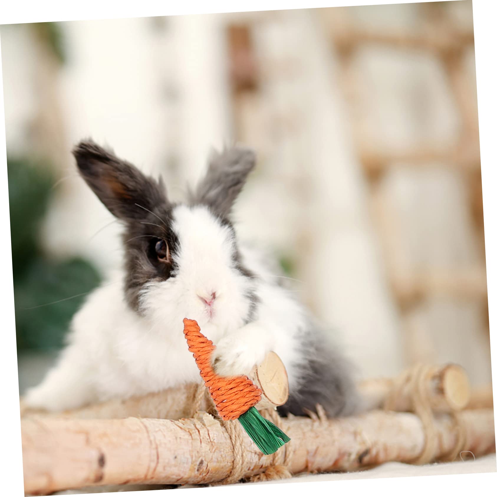 WOONEKY 1juego Juguetes para Conejos y Roedores Cama De Natural y Zanahorias para Hámsters y Chinchillas