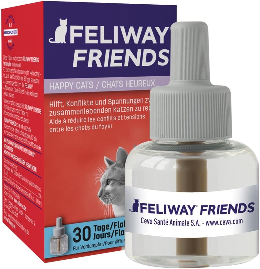 Beruhigungsmittel für Katzen rollige Katzen, Tierarzt, Silvester