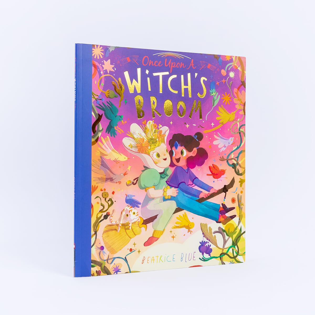Once Upon a Witch's Broom
