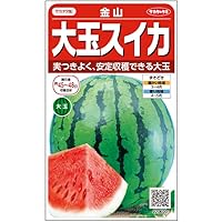 Amazon | サカタのタネ 実咲野菜0601 黒玉スイカ タヒチ 00920601 | 果物