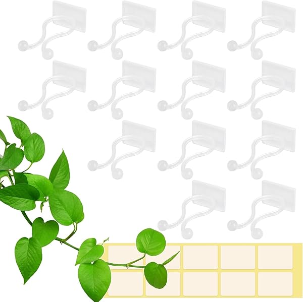 Zocipro 100 clips blancs pour plantes grimpantes