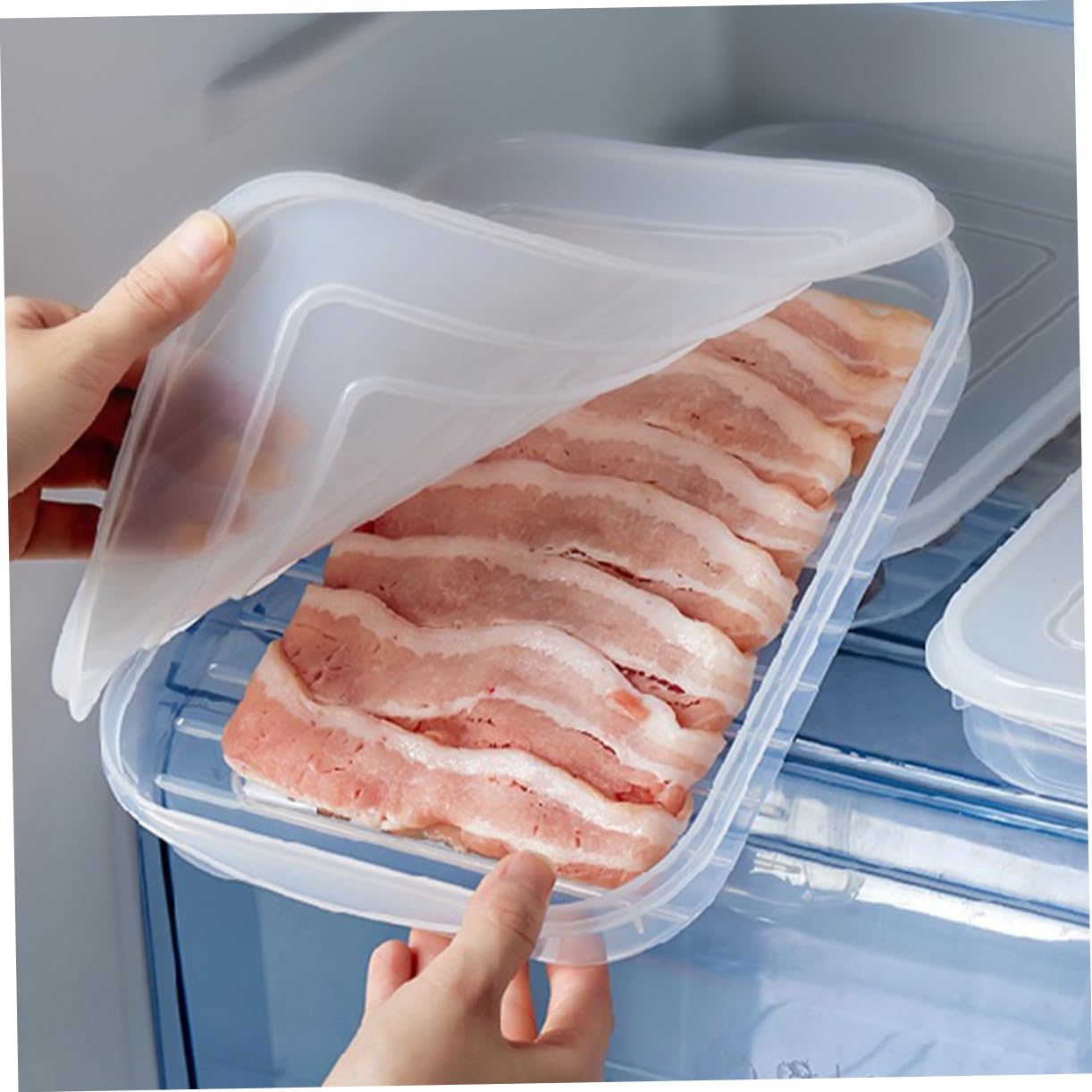 4pezzi Contenitore Per Bacon e Altri Alimenti Freschi Da Scatole Di Conservazione Per Frigorifero Per Pesce e Di Mare Leggero e Riutilizzabile Organizzatore Per Cucina
