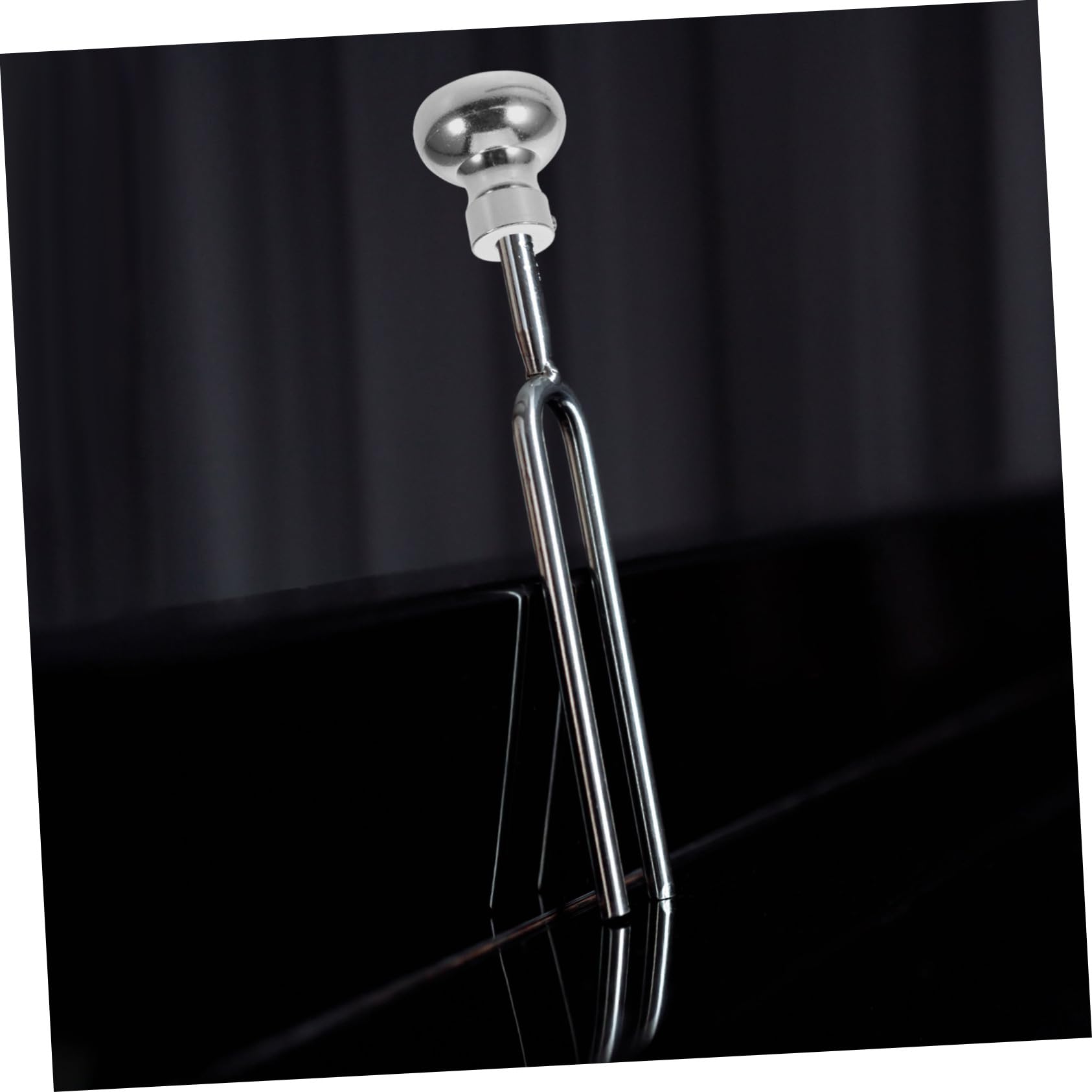 VANZACK Accesorios De Belleza Con Diapasón Soporte Metálico Para Diapasones Para Diapasón Bolsa Protectora Accesorio Para Reparación De Instrumentos Musicales Uso Salas De Práctica