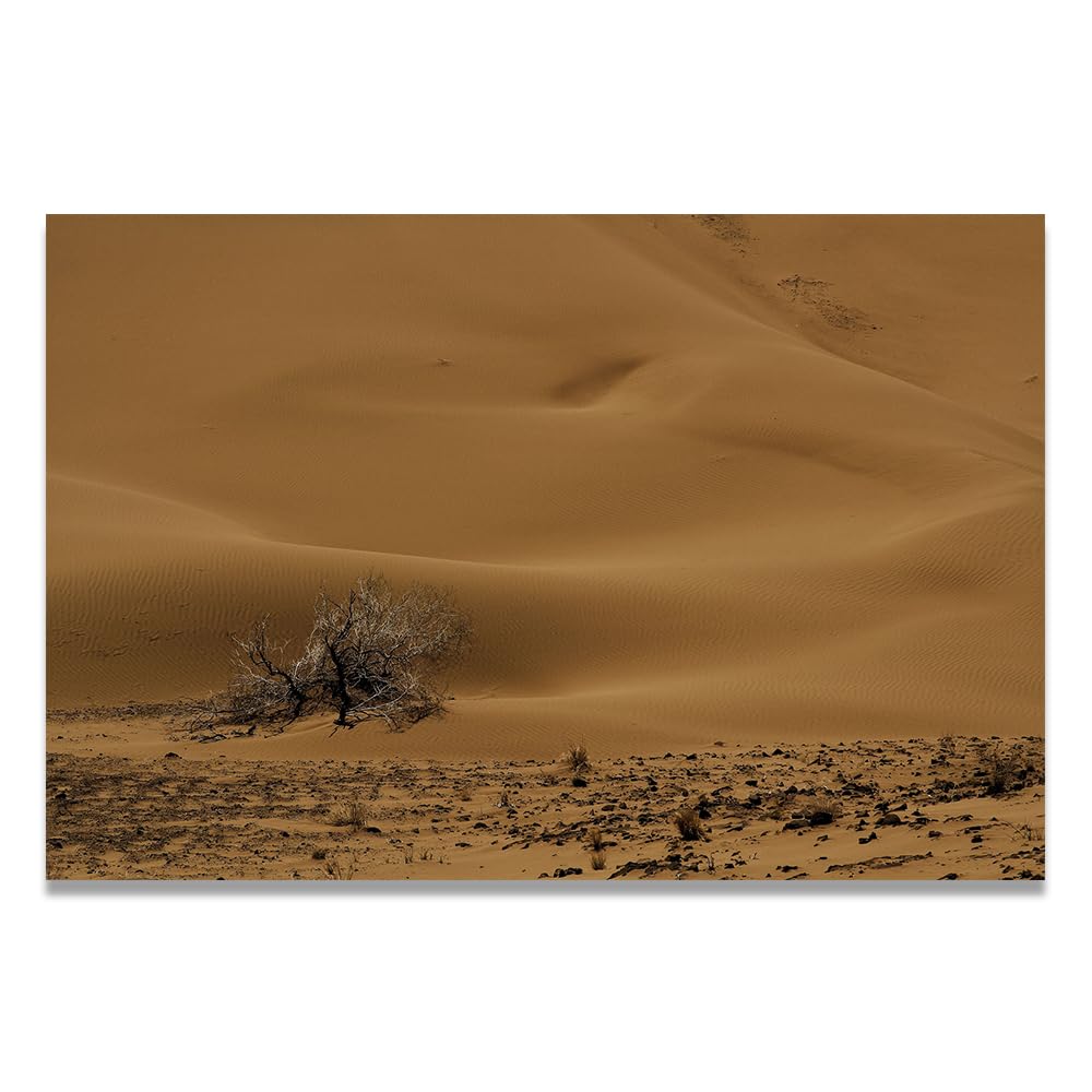 VHdfgTY The Vitality Of Withered Tree BranchesLarge Mountain Landscape Canvas Wall Art Nature Scenery for Home Decor 70x105cm Unframed