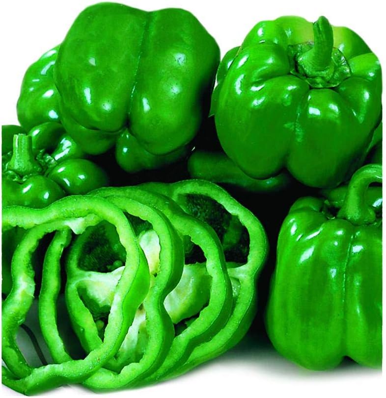 Park Seed California Wonder Organic Bell Pepper Seeds – Thick-Walled 4-Inch Peppers, Vigorous High-Yield Plants, Classic Sweet Flavor, Ideal for Stuffing or Slicing – Pack of 20 Seeds