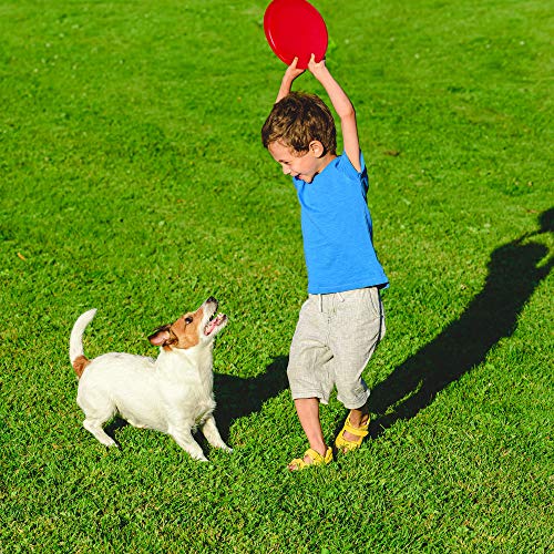 Fun Central 12 Pack - 10 Inch Flying Discs Backyard Games & Sports Party Favors For Kids & Adults - Assorted Colors #TOP3