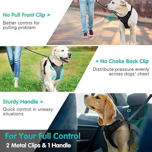 Miniatura 2 de Qisebin Arnés para perro, arnés sin tirones para mascotas con 2 clips para correa, chaleco acolchado suave ajustable para perro, chaleco Oxford
