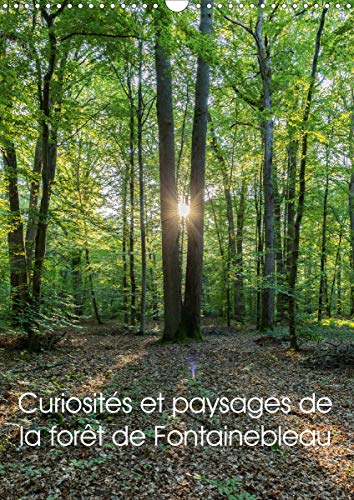 Curiosites et paysages de la foret de Fontainebleau (Calendrier mural 2021 DIN A3 vertical): Partez a la decouverte de la foret 