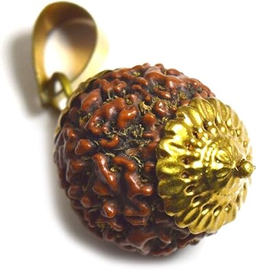 55Carat Brand Genuine Nepail Rudraksha Pendant Gold Plated Rudraksh Locket Chakra Healing?