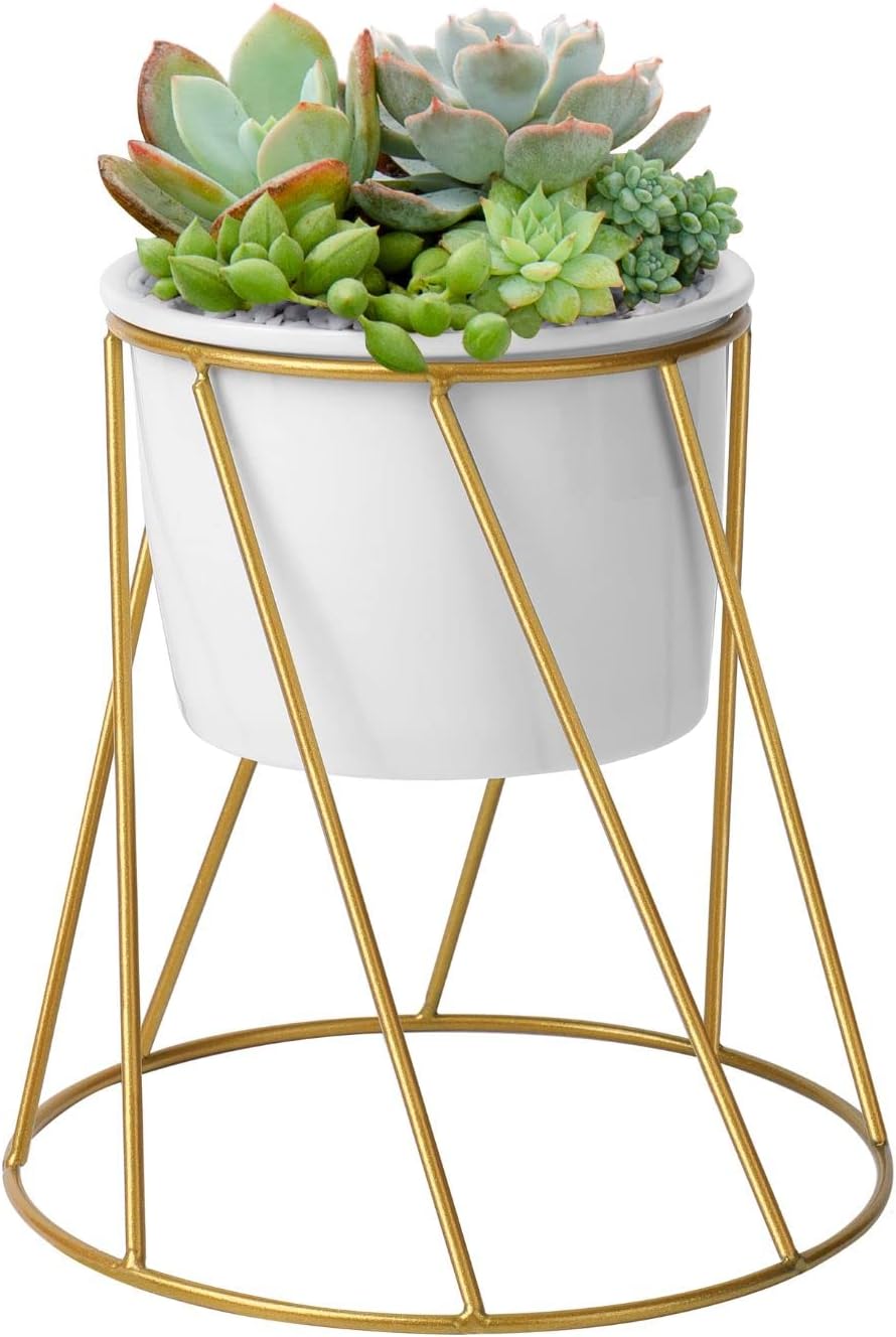 Flexzion Succulent Planter Stand 4 inch Plant Pot Planter