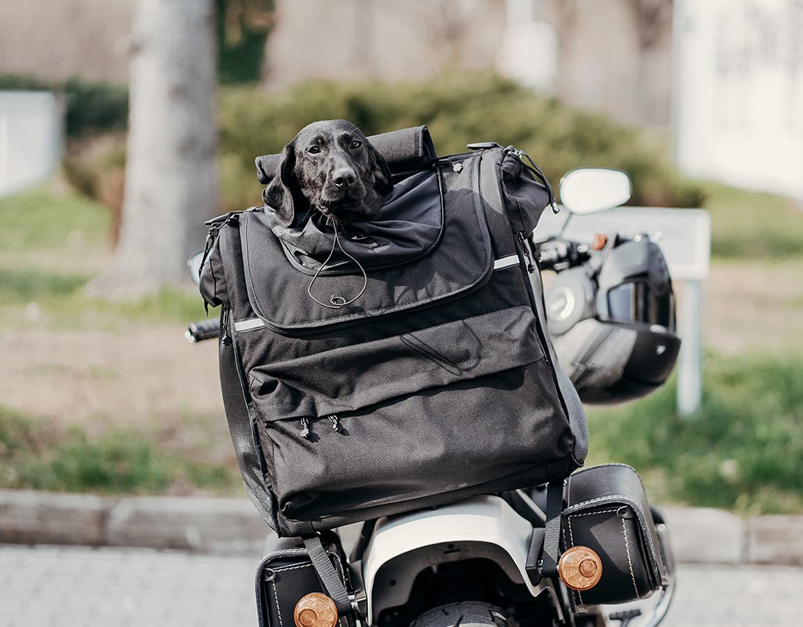 Transportín para Perros de Raza Grande de Moto (~25-44lb), Impermeable, portátil, Triple Sistema de ventilación, Bolsa de Moto para Sissy Bar, portaequipajes o Asiento