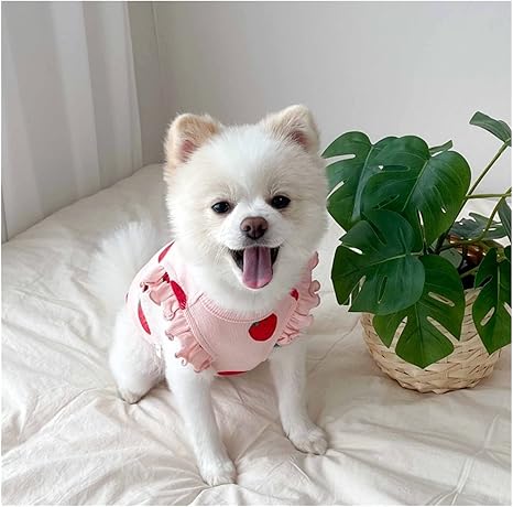 Amazon Co Jp チェリーベスト ペット用 犬服 可愛い お悔やみ服 犬 キャミソール 極小 ソフト チワワ プリント 薄手 夏 白 男の子 マスコット ペット 防寒 衣類小物 Color 2 Size L ペット用品 Amazon Co Jp チェリーベスト ペット用 犬服 可愛い お悔やみ服 犬 キャミソール 極小 ソフト チワワ プリント 薄手 夏 白 男の子 マスコット ペット 防寒 衣類小物 Color 2 Size L ペット用品