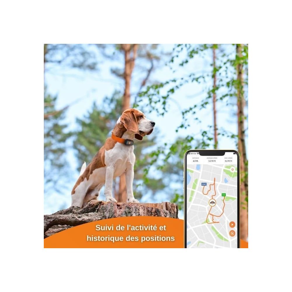 Weenect XS - Collier GPS pour chien (Black Edition 2023) | Suivi GPS en temps réel | Plus petit modèle du marché | Garantie à vie | Fonctionne avec abonnement