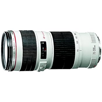 Canon EF 70-200mm f/4 L is USM Lens for Canon Digital SLR