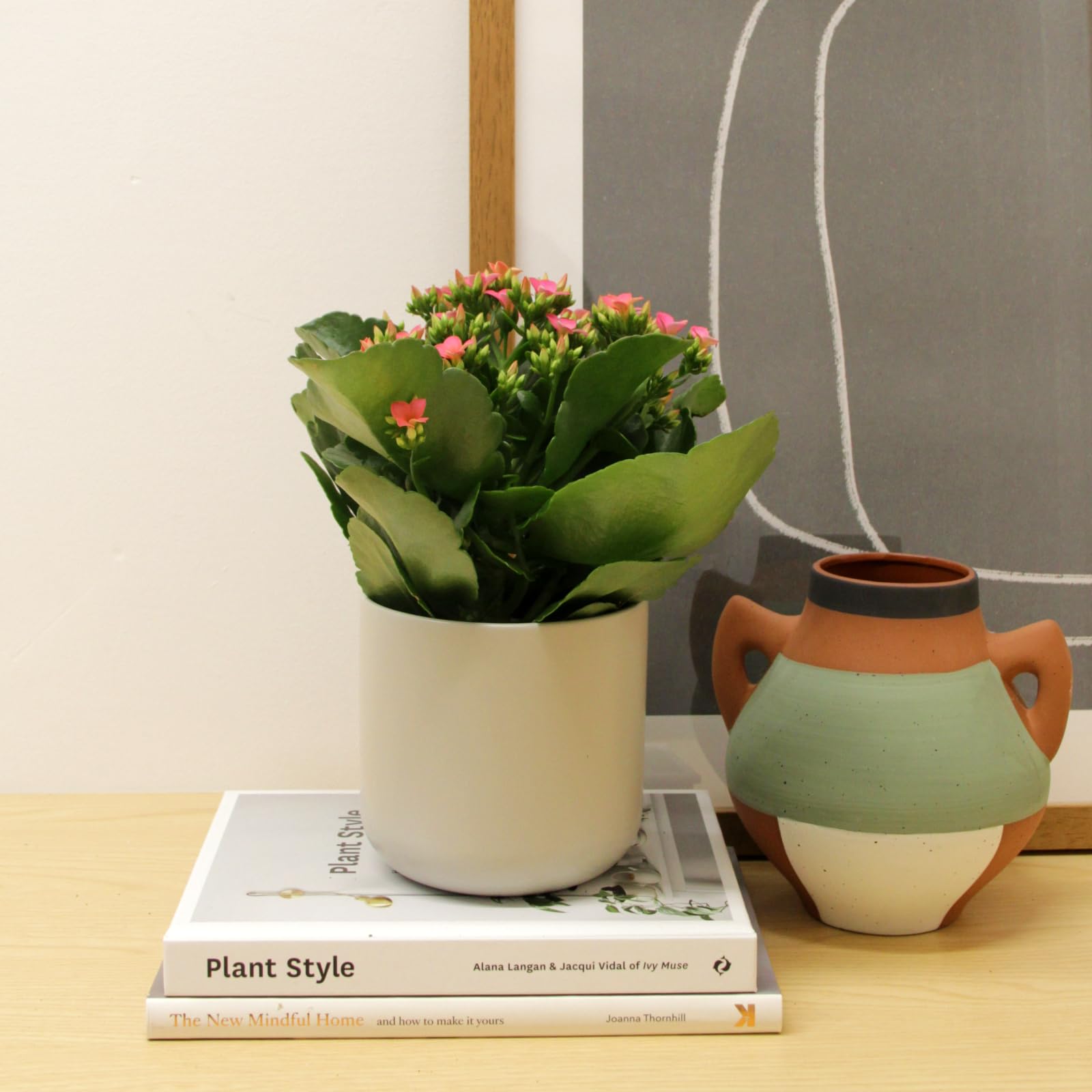 Carbeth Plants 2 x Pink Real Kalanchoe Flaming Katy in 10.5cm Pot