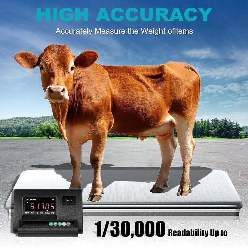 Set di bilance per Bestiame, Display ad Alta precisione, Bilancia con cella di carico, Set di bilance elettroniche per Bestiame con Scatola di Giunzione, bovini, suini, capre, Pecore