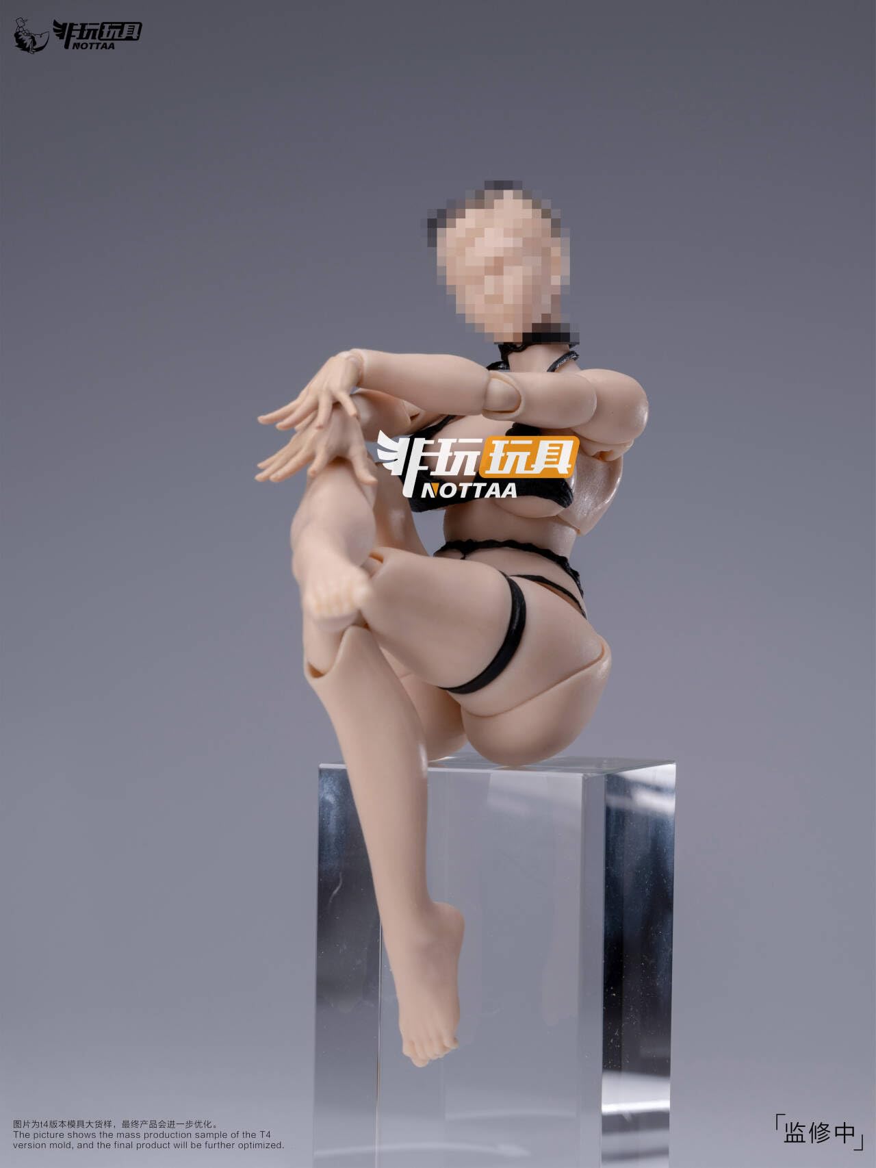 Amazon | [Tbmodel] NOTTAA TOYS 1/12 フィギュア 超可動 少女 FANG 素