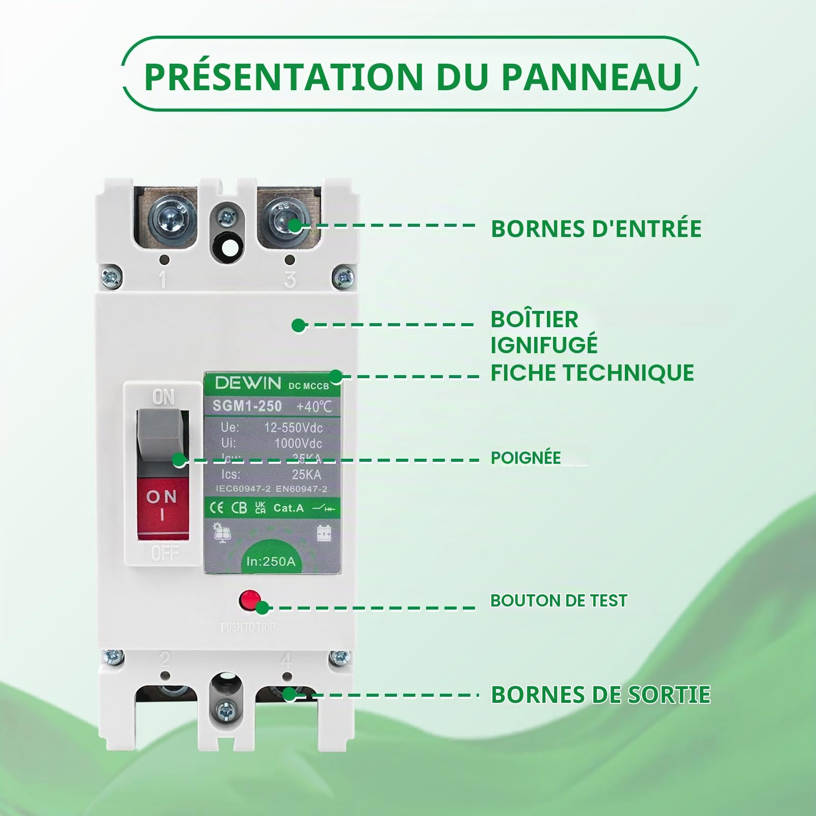 DEWIN Disjoncteur CC 250A, disjoncteur CC boîtier MCCB interrupteur principal de batterie solaire interrupteur de déconnexion de batterie 2P 250A 500V