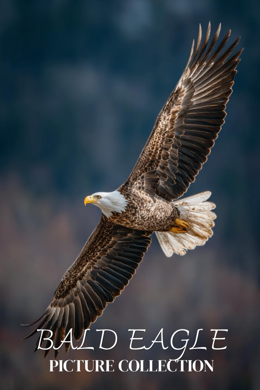 Bald Eagle Photo Collection: Beautiful Full-Page Pictures of Bald Eagles and Eaglets for All Ages (Simple Photo Books).