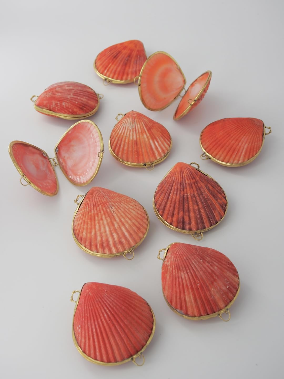 赤色貝殻型置物 約8cm x 7cm Amazon.co.jp: 【貝殻の問屋さん】貝殻の小物入れ ヒオウギガイ赤系