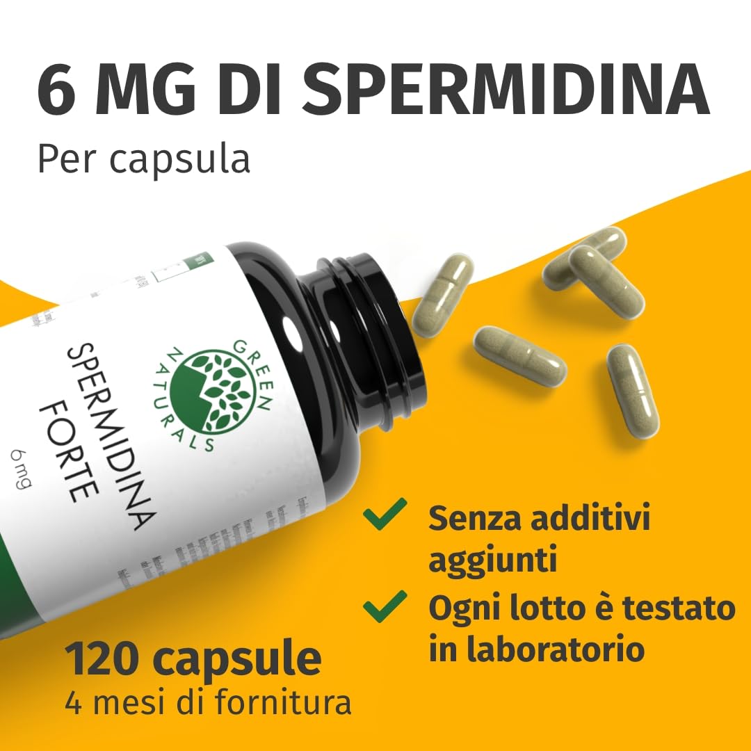 Spermidina Forte - Dosaggio elevato: 6 mg per capsula dall'estratto di germe di grano - Testato in laboratorio - 120 Capsule - Green Naturals®