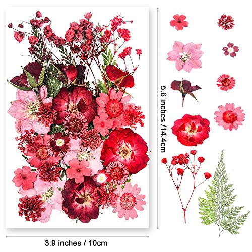 15 Types 37pcs Red Dried Pressed Flowers for Resin Molds,YouthBro Real Natural Pressed Flowers for DIY Art Crafts,Candle Making, Nails Décor,Soap Making, Phone Case